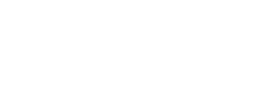 Logo Lynx Dsn